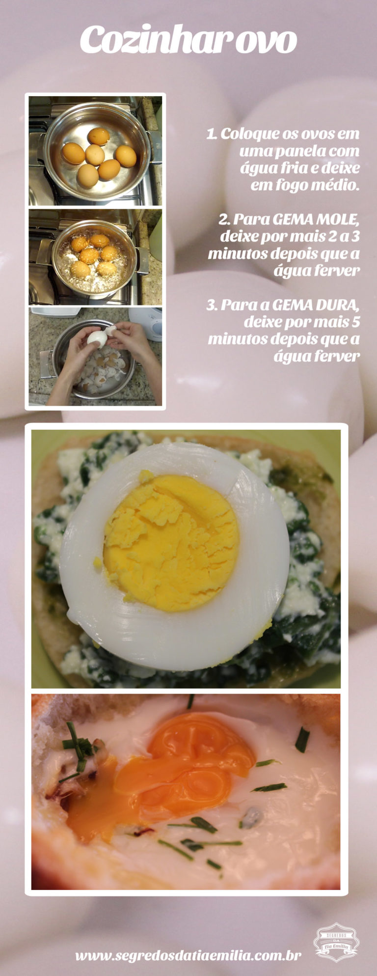 Como Cozinhar um Ovo – Segredos da tia Emília